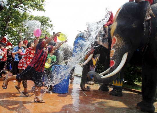 Kemeriahan festival perang air dengan gajah di Thailand