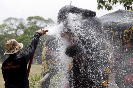 Kemeriahan festival perang air dengan gajah di Thailand