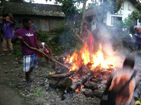 Tradisi bakar batu oleh mahasiswa Papua di Lereng Merapi