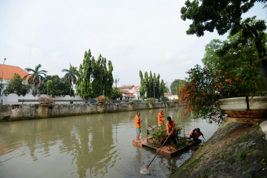 Melihat perawatan tanaman hias di tepi sungai Pasar Baru