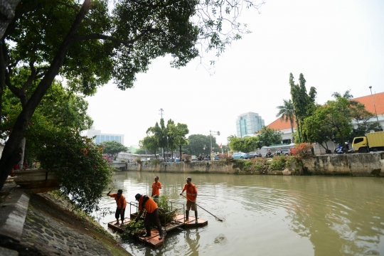 Melihat perawatan tanaman hias di tepi sungai Pasar Baru