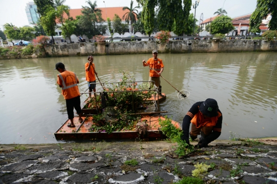 Melihat perawatan tanaman hias di tepi sungai Pasar Baru