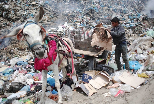 Potret sengsara warga Gaza hidup cari nafkah di pembuangan sampah