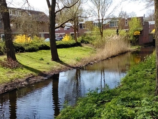 Bersepeda di Jalan Munirpad, Den Haag