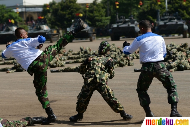 Foto : Deretan tank amfibi & alutsista TNI AL meriahkan 