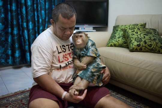 Kisah lucu Jamil dan sepasang monyet hidup bersama bak keluarga