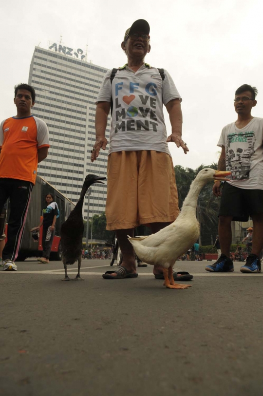 Unik, pria ini ajak dua bebeknya jalan-jalan di CFD