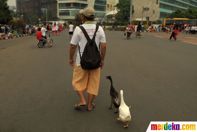 Foto Unik Pria Ini Ajak Dua Bebeknya Jalan Jalan Di Cfd Merdeka Com