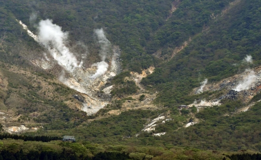 Aktivitas vulkanik Gunung Hakone makin ancam warga Tokyo