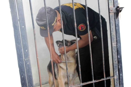 Kisah Satrio, rawat anjing K-9 seperti keluarga sendiri