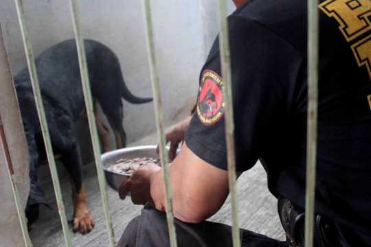 Kisah Satrio, rawat anjing K-9 seperti keluarga sendiri