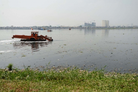 Rutinitas pengerukan lumpur Waduk Pluit