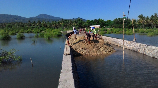 Ini lokasi reklamasi Teluk Penerusan Bali yang dilakukan diam-diam