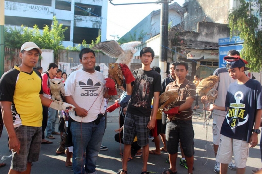 Ketika burung hantu tak lagi menakutkan