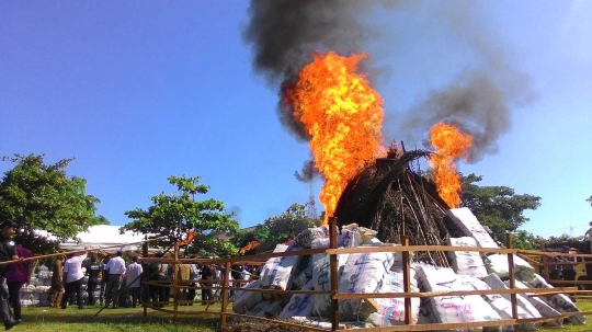 Polda Aceh bakar 11,6 ton ganja