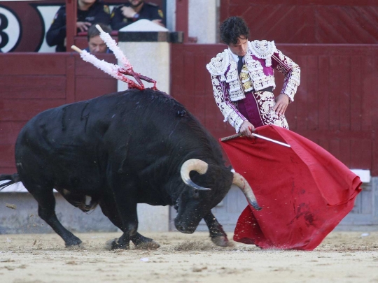 Aksi banteng-banteng ganas dan matador di San Isidro Feria