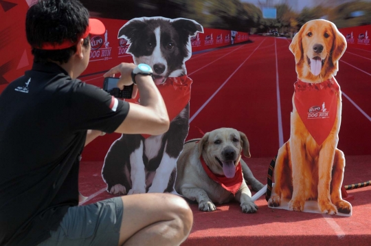 Gaya lucu anjing dalam Purina Alpo Dog Run di Senayan