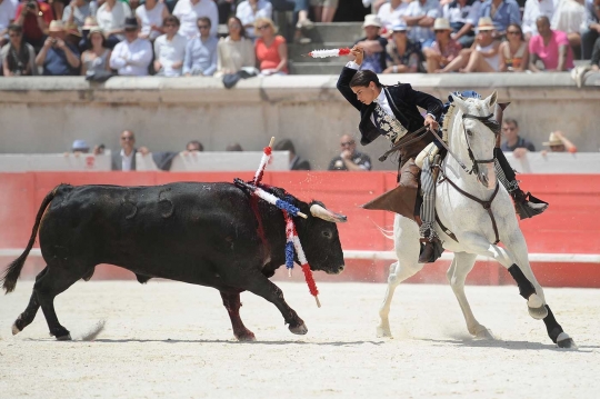 Aksi cewek tangguh kalahkan banteng di Festival Feria de Nimes