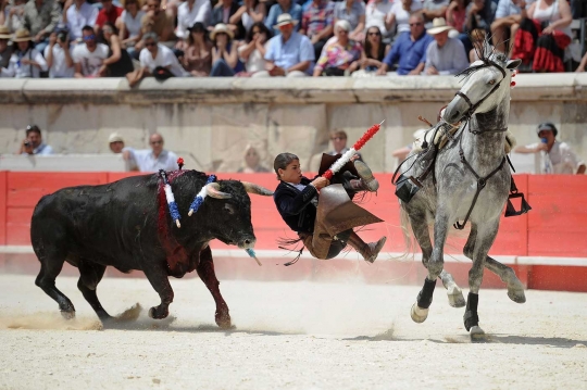Aksi cewek tangguh kalahkan banteng di Festival Feria de Nimes