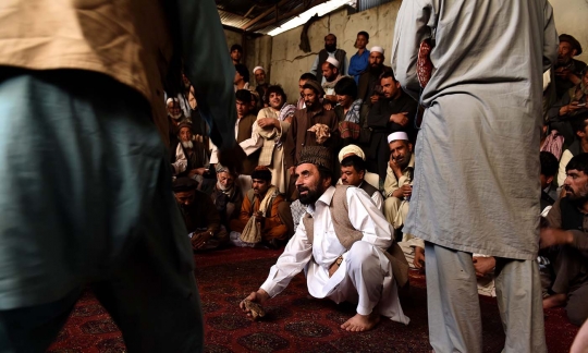Melihat keseruan lelaki Afghanistan adu burung puyuh
