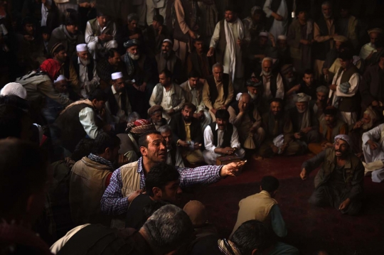 Melihat keseruan lelaki Afghanistan adu burung puyuh