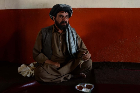 Melihat keseruan lelaki Afghanistan adu burung puyuh