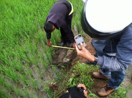 Penemuan candi di persawahan gegerkan warga Sleman