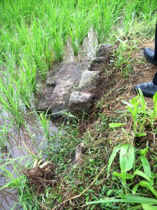 Penemuan candi di persawahan gegerkan warga Sleman