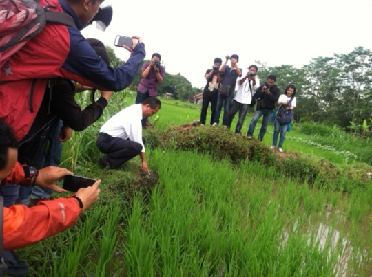 Penemuan candi di persawahan gegerkan warga Sleman