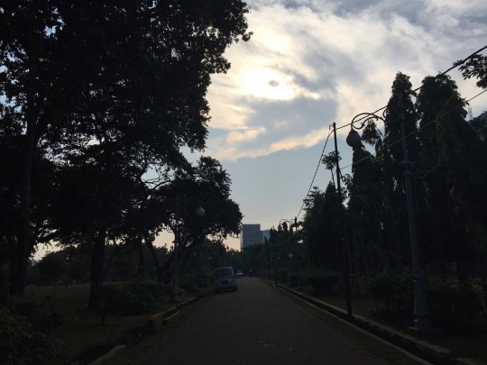 Menikmati nuansa hijau sambil jalan-jalan sore di Buperta Ragunan