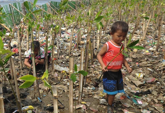 Belajar menanam mangrove di pesisir pantai yang penuh sampah