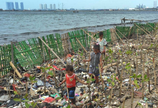 Belajar menanam mangrove di pesisir pantai yang penuh sampah