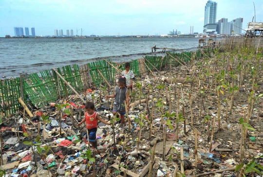 Belajar menanam mangrove di pesisir pantai yang penuh sampah