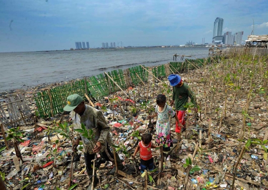 Belajar menanam mangrove di pesisir pantai yang penuh sampah