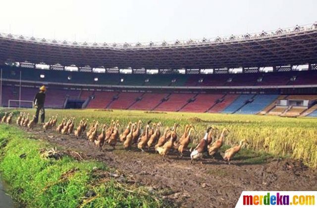 Foto : Meme kocak sindir kisruh sepakbola Indonesia, ada 