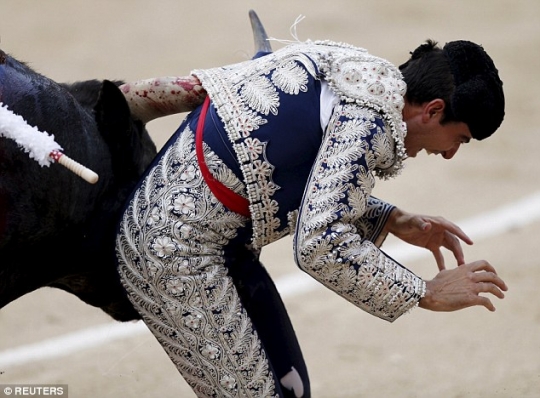 Momen mengerikan saat testis matador tertanduk banteng