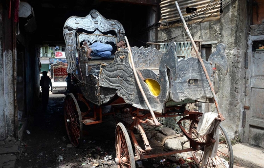 Di India, penggunaan kereta kuda sebagai alat transportasi dilarang