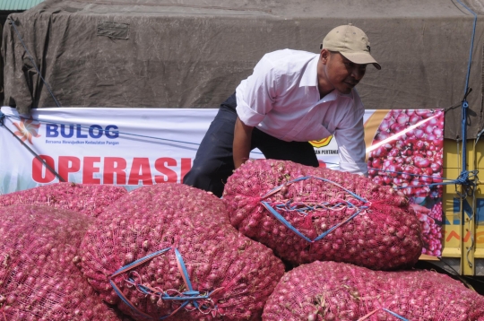 Mentan Amran sidak harga bawang merah di Pasar Kramat Jati