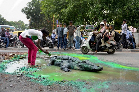 Protes pemerintah India, pria ini bawa buaya ke tengah jalan