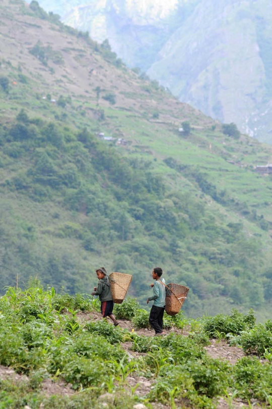 Meratapi kehidupan baru warga pegunungan Nepal pasca dilanda gempa