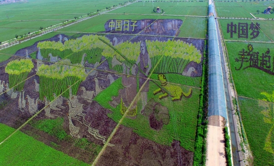 Uniknya mural ala seniman China yang terbuat dari tanaman padi