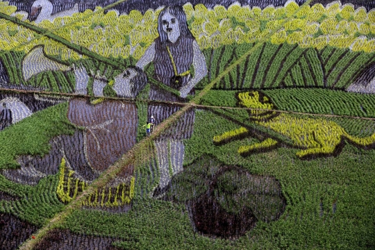 Uniknya mural ala seniman China yang terbuat dari tanaman padi
