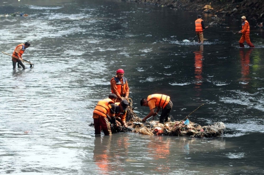 Semangat Dinas Kebersihan punguti sampah plastik di Sungai Krukut