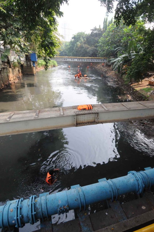 Semangat Dinas Kebersihan punguti sampah plastik di Sungai Krukut