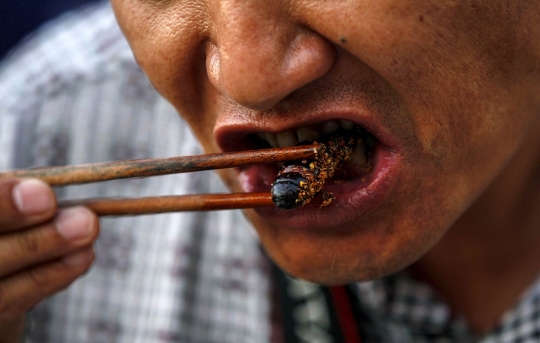 Tradisi unik etnis Hani sambut musim panas dengan makan serangga