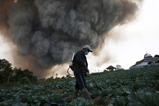 Kisah petani di Karo bertahan dari semburan abu vulkanik Sinabung