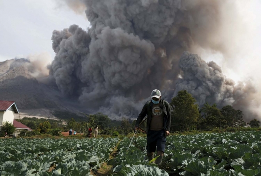 Kisah petani di Karo bertahan dari semburan abu vulkanik Sinabung