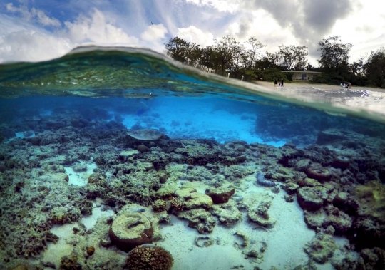 Melihat ribuan terumbu karang rusak parah di laut Queensland