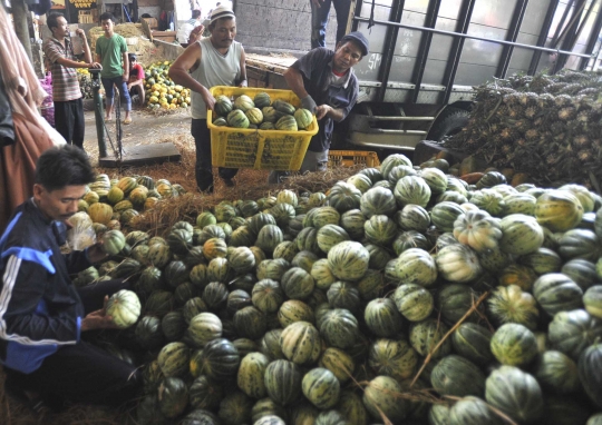 Omzet penjualan blewah di Tangerang menurun 40 persen
