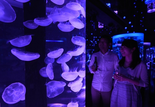 Menyaksikan keindahan ubur-ubur dalam akuarium Aqua Park Shinagawa